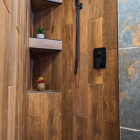 Apartman House Proctor Sztojkite