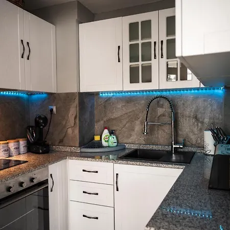 House Proctor * Sztojkite